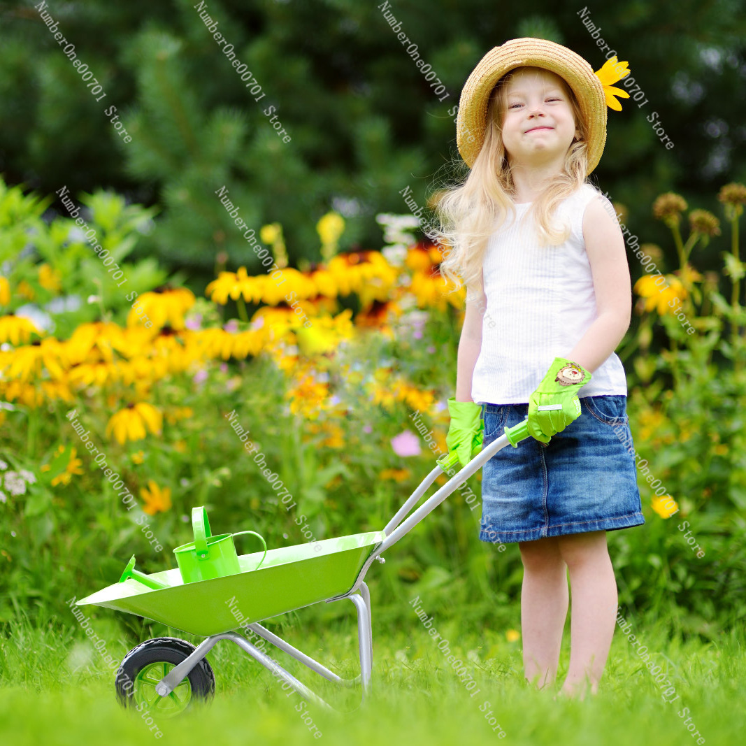 Kids Outdoor Wheelbarrow, Gree - огляд і ціна Kids Outdoor Activity Toys